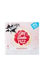 Black Fly Gin Soda Fizz Grapefruit 4pk
