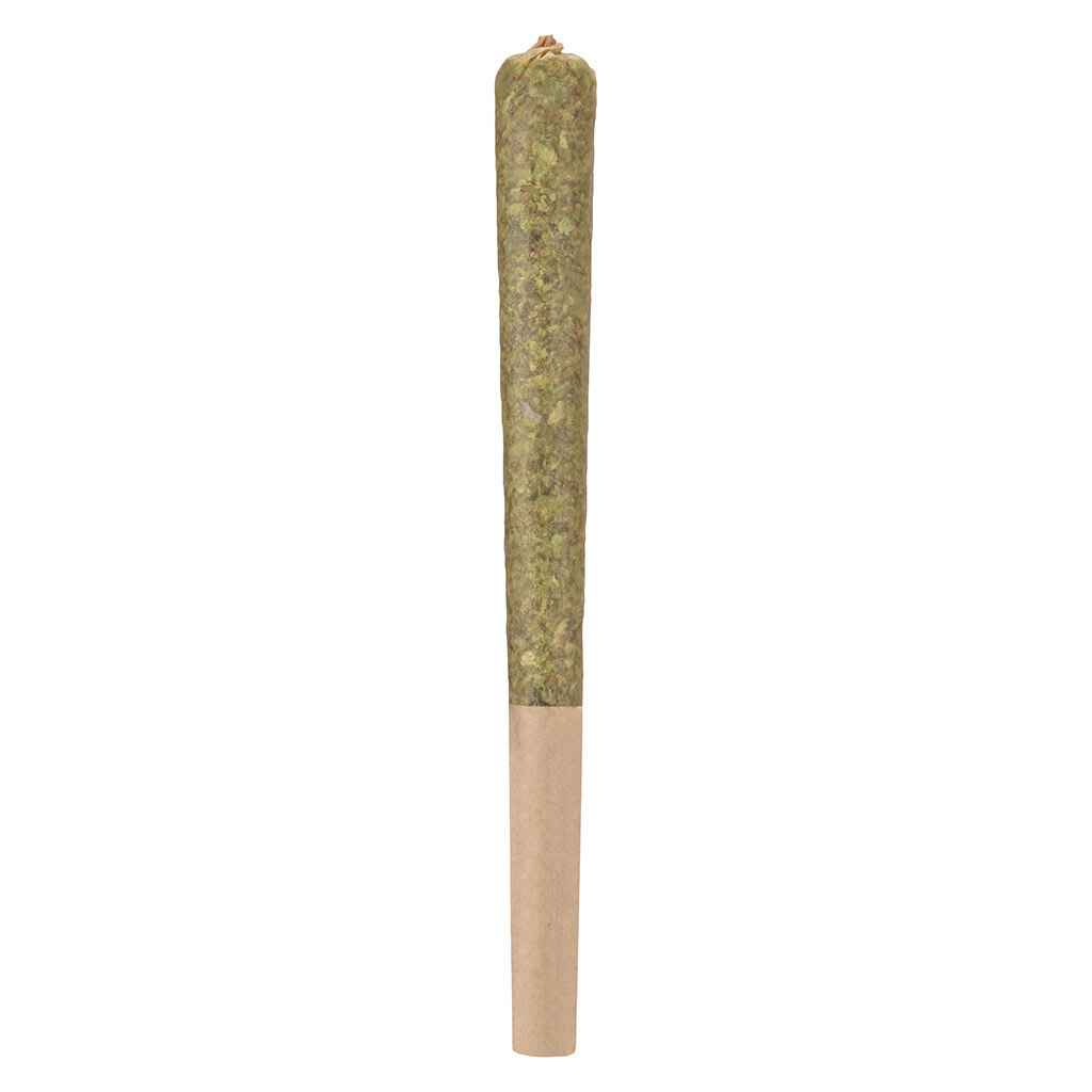 1 x 1g Rocketeer Infused Pre-Roll