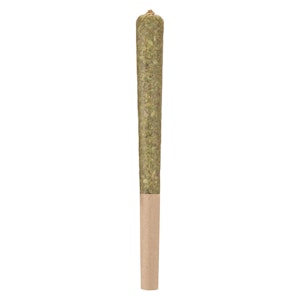 Woody Nelson - 1 x 1g Rocketeer Infused Pre-Roll