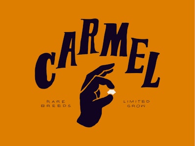 CARMEL - CARMEL Variety Pack PRs (Variety) 12 x .5g