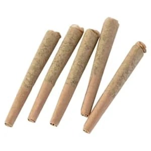 SILKY CONTINENTAL - Black Banana Cookie 5 x 0.5g Pre-Rolls