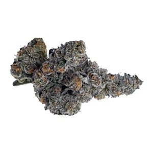 Amani Craft - GASTRO POP - 7