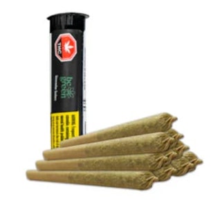 BC Green - WATERMELON GUSHERS PRE-ROLLS - 5