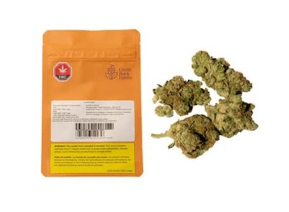 BC Green - *FROSTED GUMBO - 28G FROSTED GUMBO