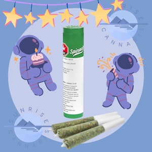 Spinach - SPACE CAKE - SPINACH - 3X0.5G