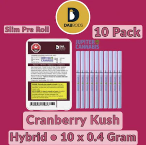 Dab Bods - Cranberry Kush Super Slim Electric Dartz 10 x 0.4g Pre-Rolls - Dab Bods