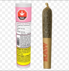 Dab Bods - Pink Frozay 1 x 0.5g Resin Infused Pre-Roll Dab Bods