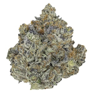 Pistol and Paris - Pink Panties 7g