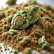 Shire Harvest Blend - 7g