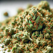 Winterfell Frost Milled - 7g