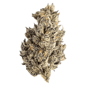 Seaweed Craft Cannabis - James' Celebration: Craft Small Batch Rotational 3.5g Dried Flower