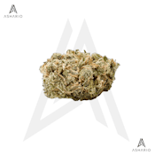 No. 515 Noisy Neighbour | 3.5g