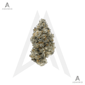 BC Organic Mind Flayer | 3.5g