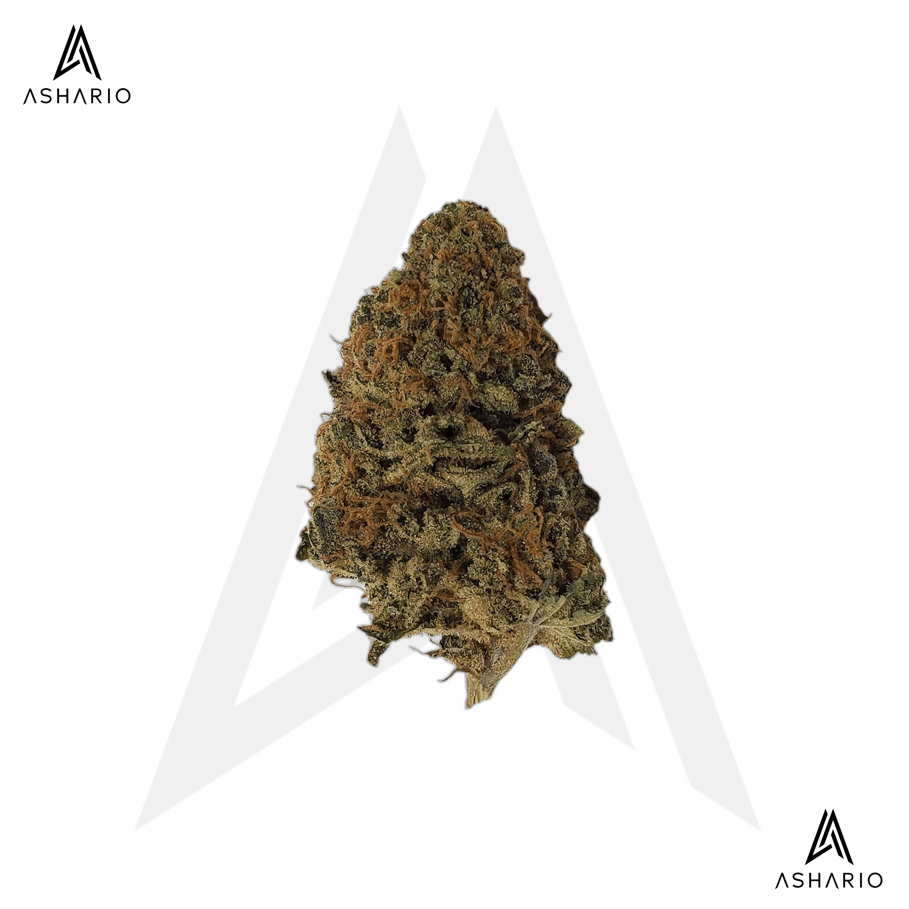 DIME BAG - Kush Dreams | 28g Main Image