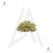Jean Guy | 7g