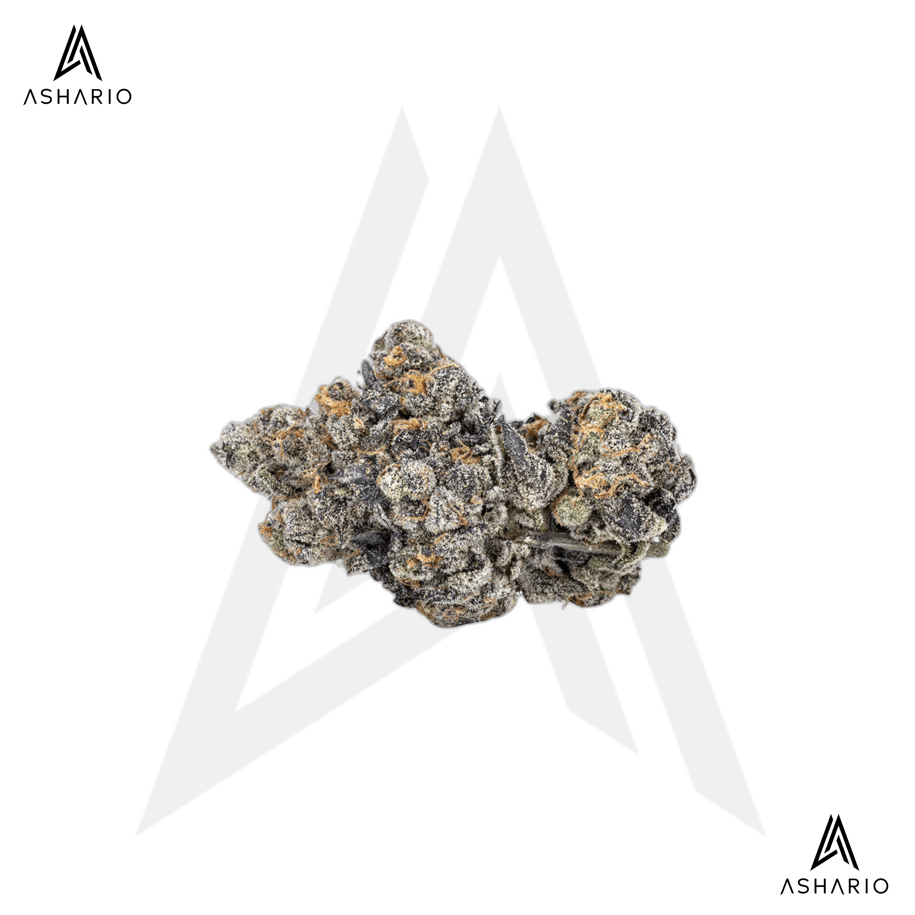 Gas Face | 14g
