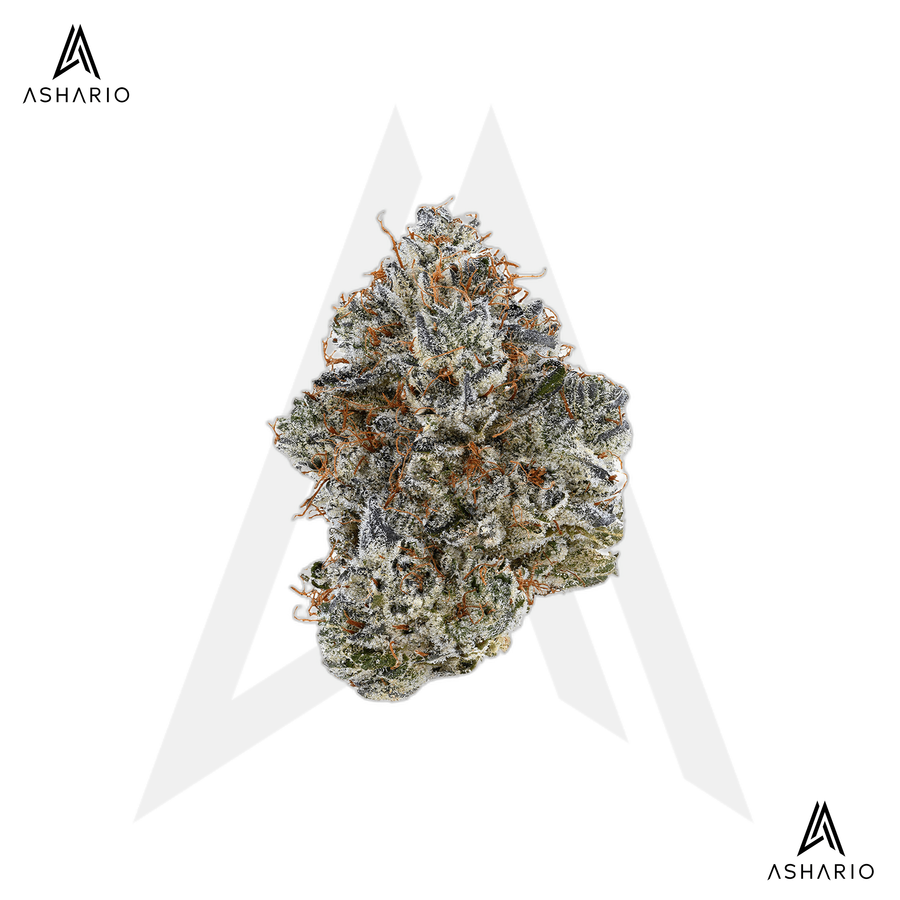 Neon Sunshine | 3.5g