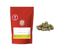 Strawberry Amnesia 28G