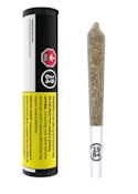 Comatose 1 x 0.5g Resin Infused Pre-Roll by 1964