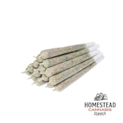 BANGTAIL PRE-ROLLS - 5