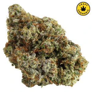 Northern Canna - Permanent Marker 14g