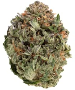 1964 - 1964 - Organic Comatose 1g - Organic Comatose 1g