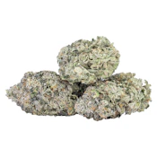 Fishy Fingers 14g Dried Flower