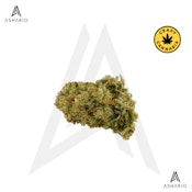 G13 Triangle Kush | 3.5g