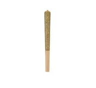 Woody Nelson - Rocketeer Infused Pre-Roll (1x1g)
