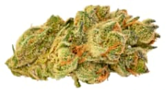 5 Points Cannabis - 5 Points Cannabis - Strawberry Kush 3.5g Dried Flower // - Strawberry Kush 3.5g Dried Flower