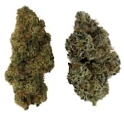 HOMA Dual Pack 7g Dried Flower