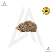 Blueberry Yum Yum | 3.5g