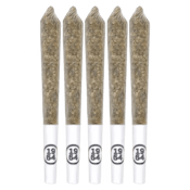 Comatose NEW SIZE 5x0.5g Pre-Rolls | 1964