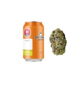 Jack Herer Jamboree Budskis 3.5G