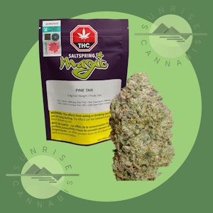 Saltspring Magic - PINE TAR - SALTSPRING MAGIC (DFG) - 3.5G