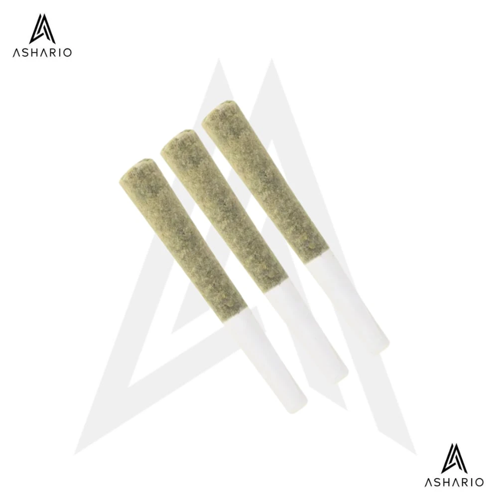THE LOUD PLUG - Milk Cake | 3x0.5g Main Image