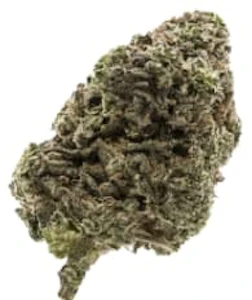 FIGR - FIGR - Jungle Fumes 14g - Dried Flower