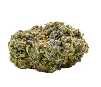 Chillbilly - JACK HERER JAMBOREE BUDSKIS - 3.5g