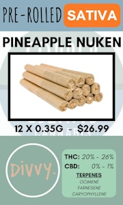 Divvy - DIVVY - PINEAPPLE NUKEN 12PK PRS