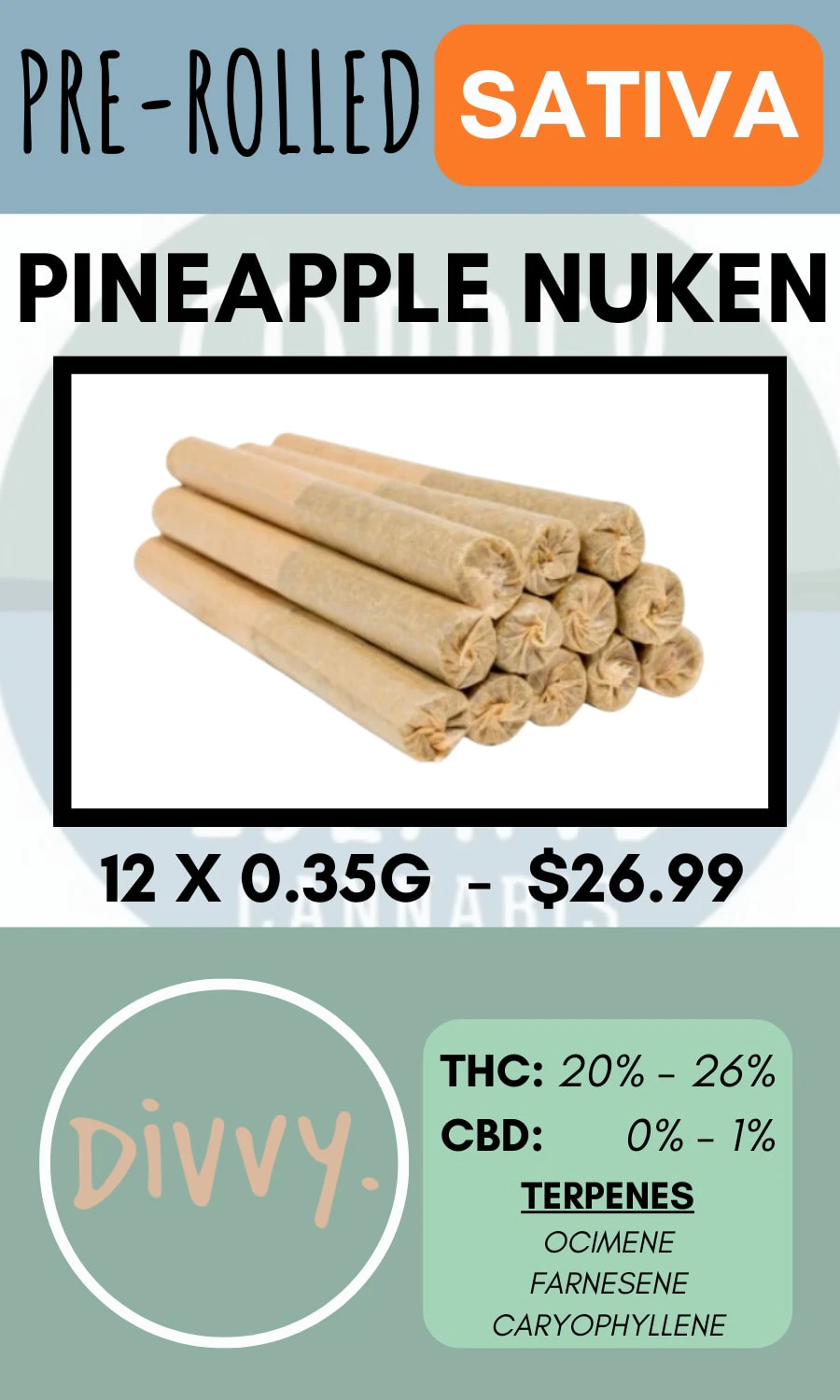 DIVVY - DIVVY - PINEAPPLE NUKEN 12PK PRS Main Image