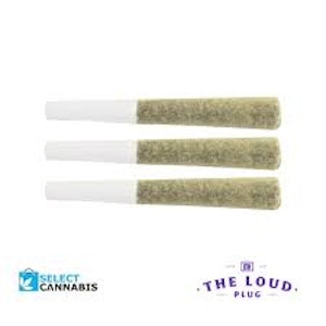 The Loud Plug  - The Loud Plug - LA Pop Star - 3x0.5g