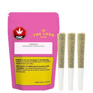 The Loud Plug  - The Loud Plug - Frosted Swirl - 3x0.5g