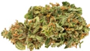 Jean Guy 3.5g Dried Flower