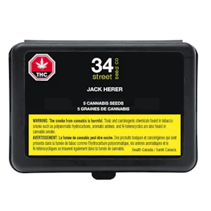 34 Street Seed Co - JACK HERER SEEDS - 25