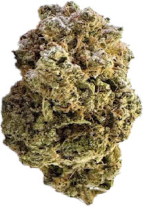 MTL Cannabis - MTL - East Coast Dank'z | 7g