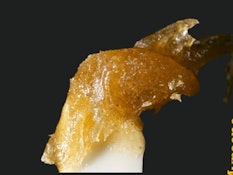 Earthwolf Farms - Grapefruit MAC Full Melt Hash (1g)