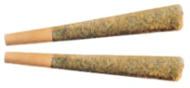 Fuego - Fuego - Night Rider Pre-Rolls 2pk - 2x1g
