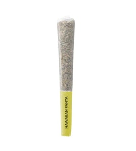 Pistol and Paris - Pistol and Paris | Hawaiian Fanta Pre-Roll | 10 x 0.5 g