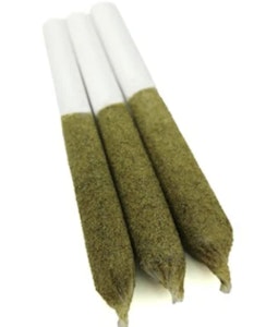 Orchard - ORCHARD |ROYAL CRUSH | PRE ROLLS