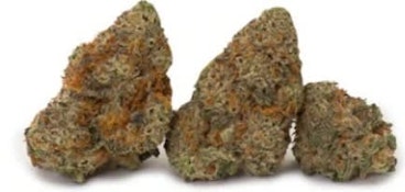 3.5G - COOKIE GOD